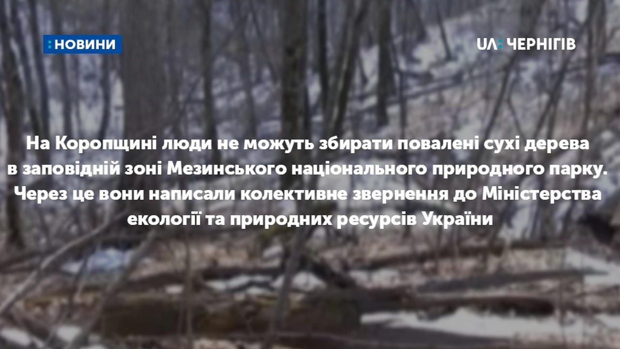 На Коропщині люди написали колективне звернення до Міністерства екології та природних ресурсів України, аби їм дозволили збирати повалені сухі дерева в заповідній зоні Мезинського парку