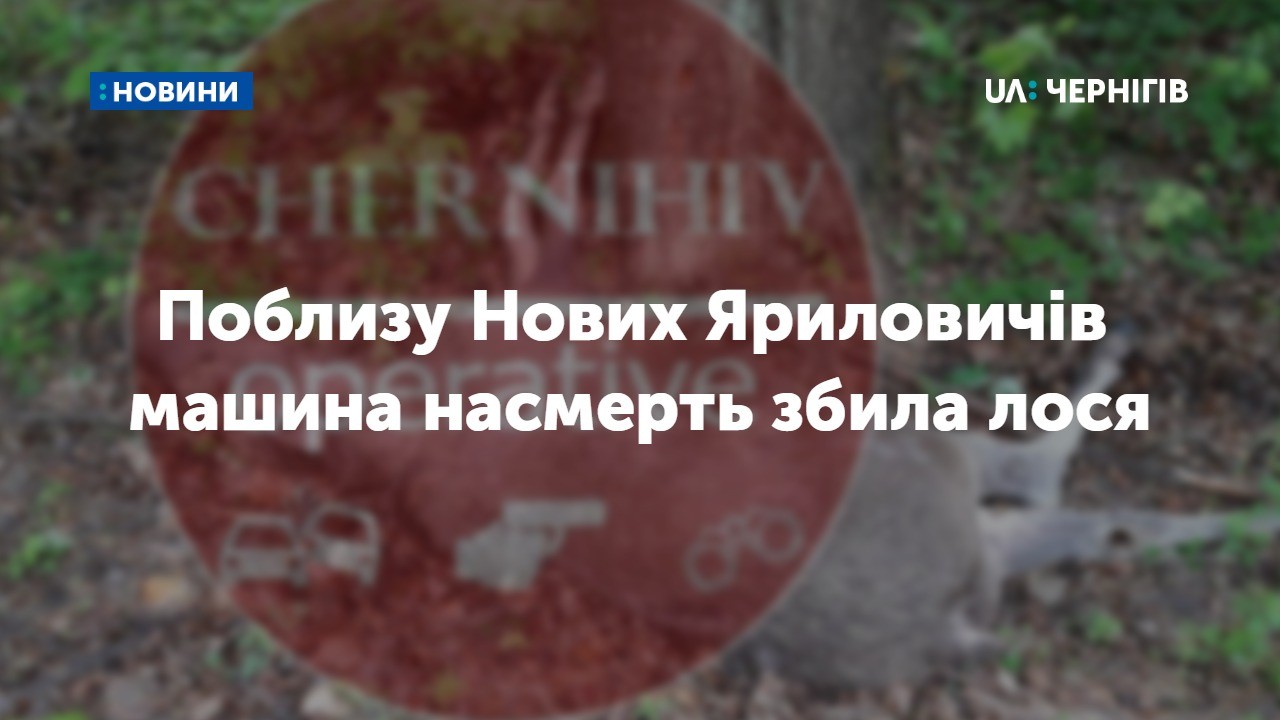 Поблизу Нових Яриловичів Ріпкинського району машина насмерть збила лося