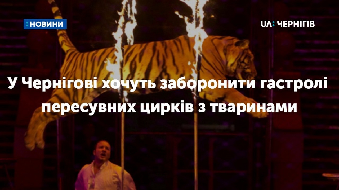 У Чернігові можуть заборонити гастролі пересувних цирків з тваринами