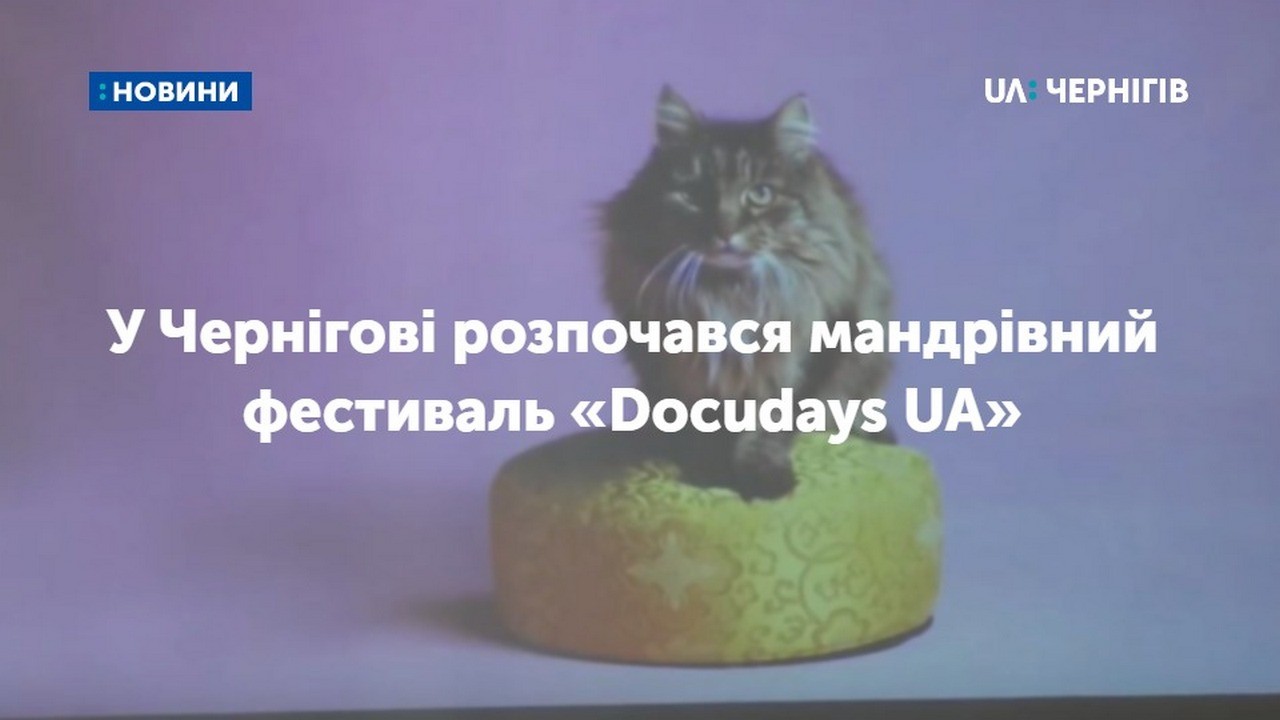 У Чернігові розпочався мандрівний фестиваль «Docudays UA» у рамках якого представлять 50 кінострічок: які фільми показуватимуть цього року